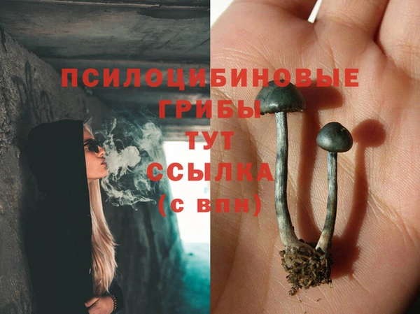соль курить ск Арсеньев